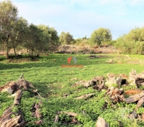 Terrenos Faro - Fotos para Casa de campo com 5300m2